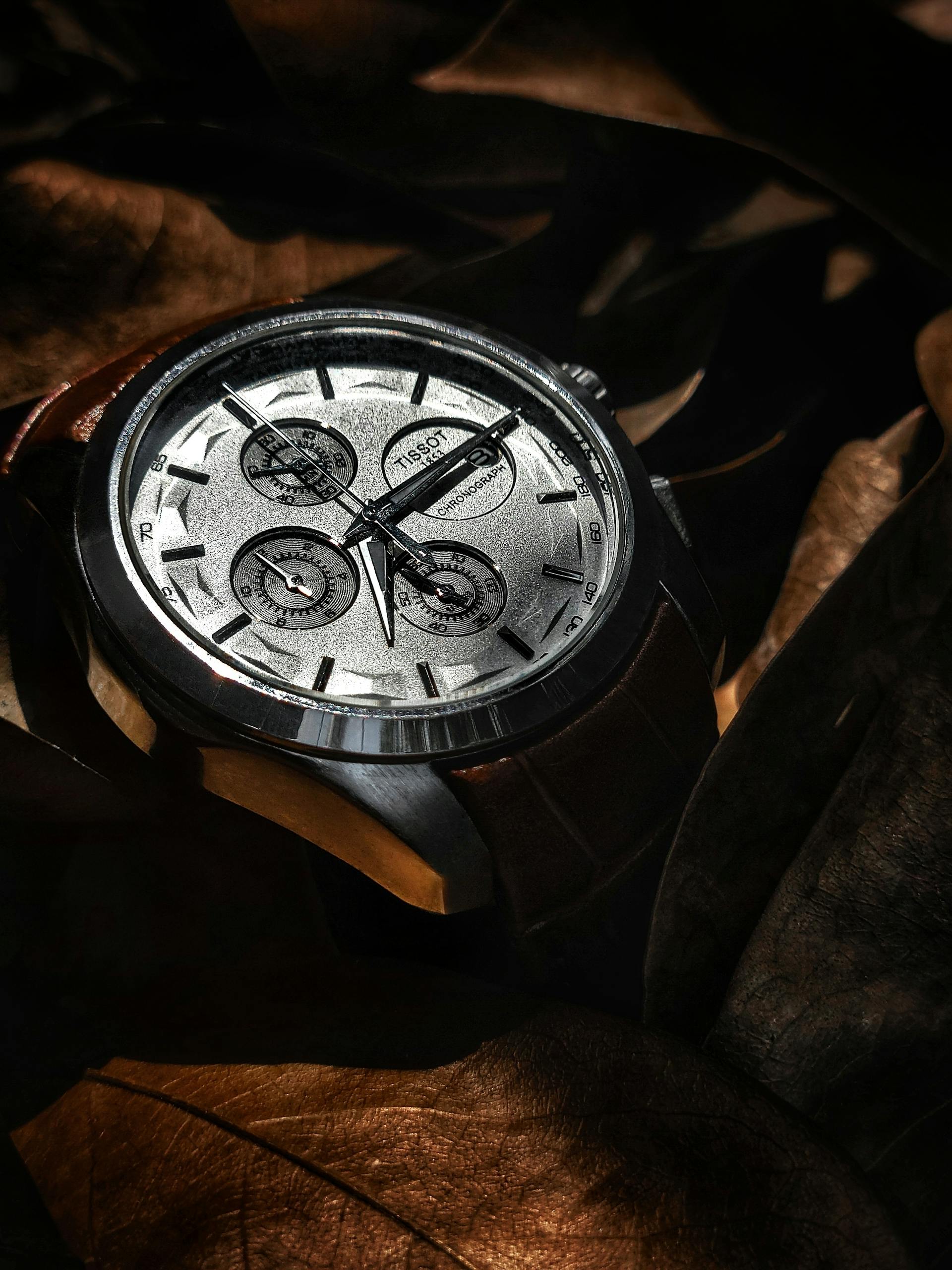 Elegant Wrist Watch on Brown Leaves