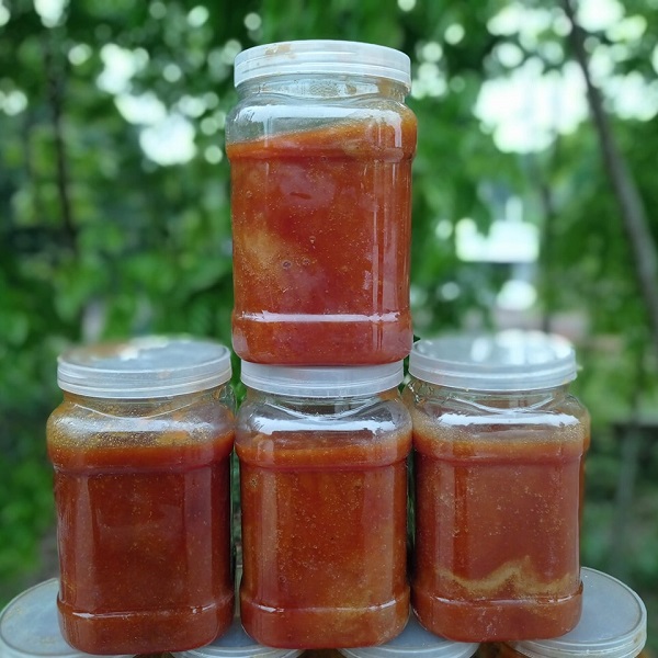 আখের গুড় Sugarcane Jaggery