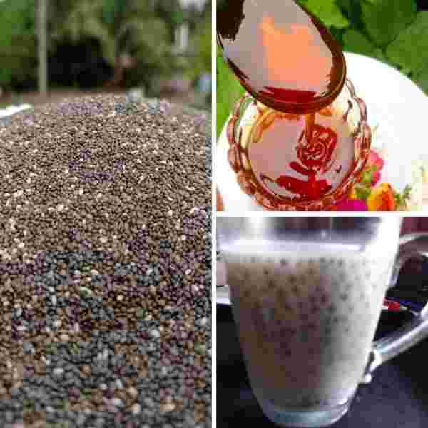 চিয়া সিড Chia Seed